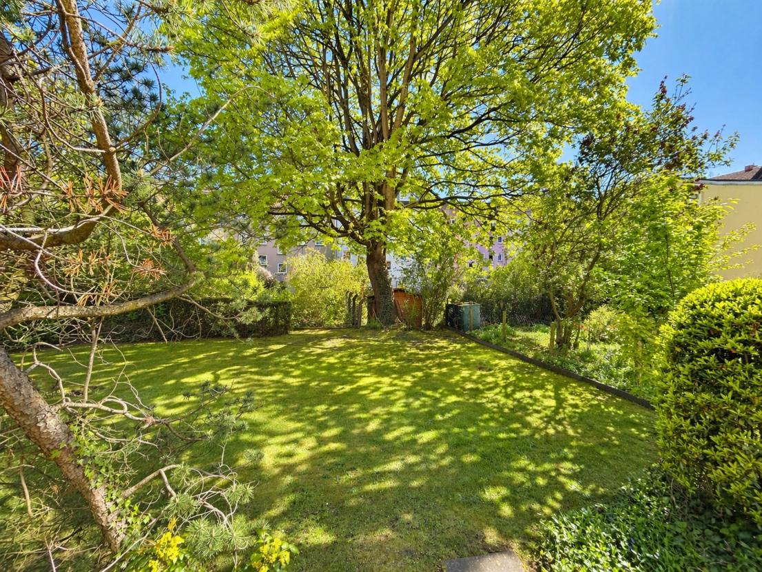 Blick in den Garten