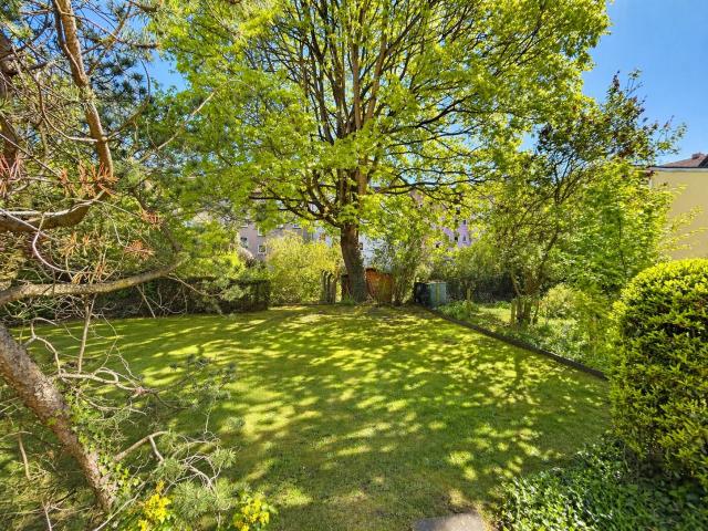 Blick in den Garten