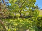 Blick in den Garten