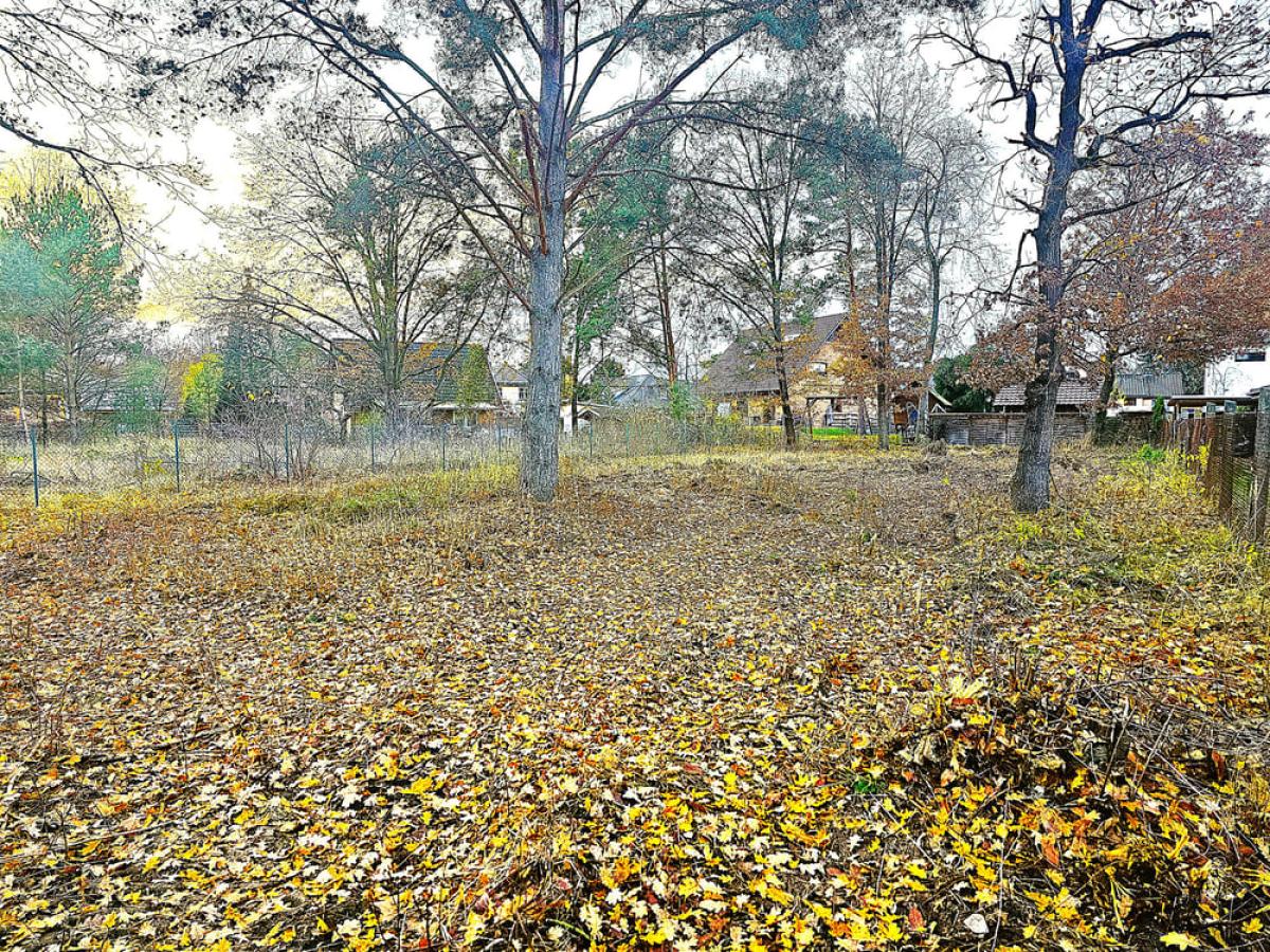 Ansicht von der Straße aus