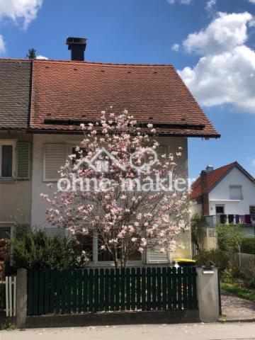 Schöne Magnolie vor dem Haus