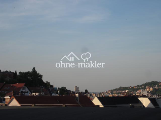 Blick Veranda nach Osten