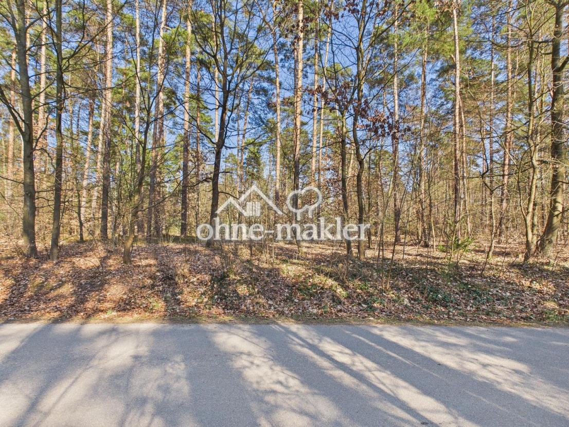 Blick ins Grüne (waldnähe)