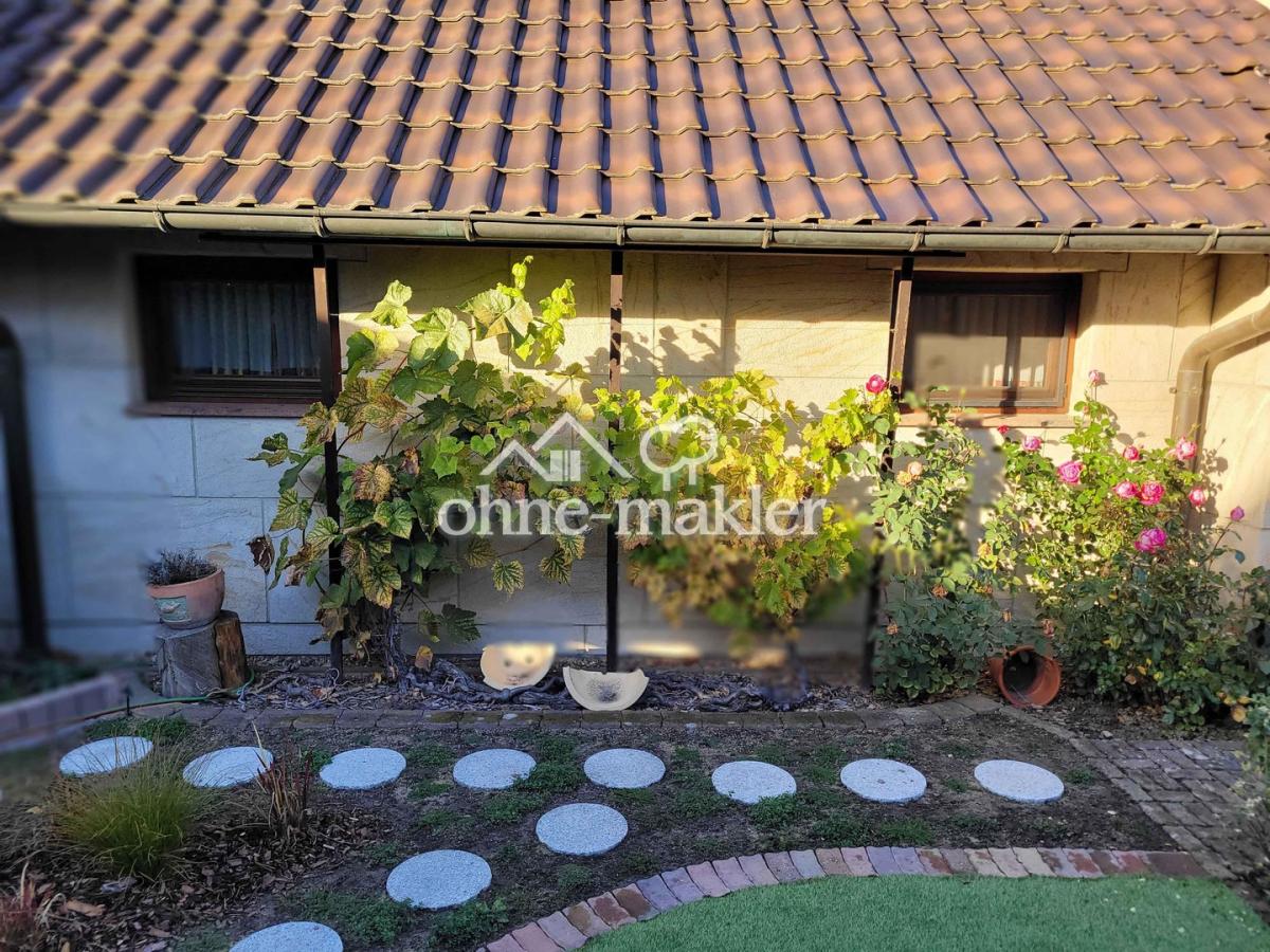 Garten: 2 Weinstöcke