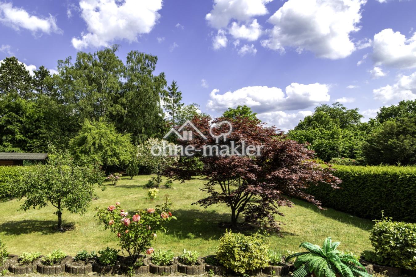 Blick in den Garten