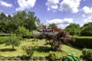 Blick in den Garten