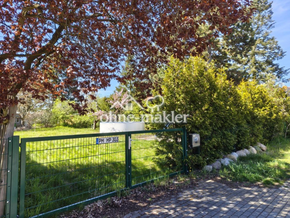 Straßenseite mit Tor und Hecke