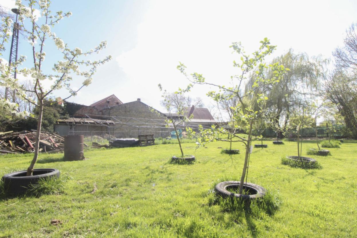 Grundstück vorderer Teil