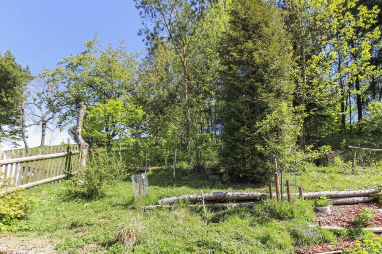 Hinterer Teil des Grundstücks