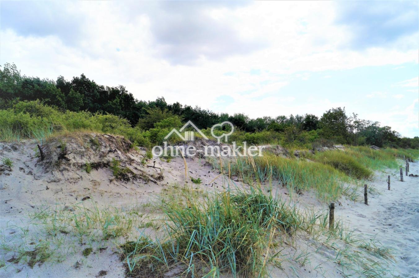 Dünenlandschaft am Naturstrand