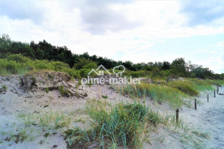 Dünenlandschaft am Naturstrand