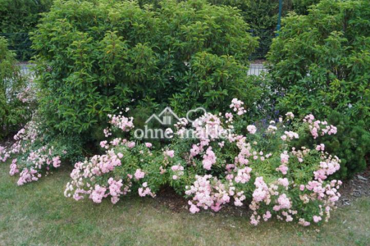 Garten Details