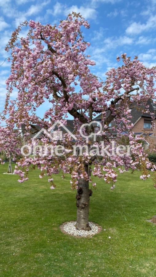 auch im Frühjahr toll