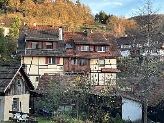 Bild