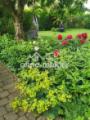 Blumenbeet