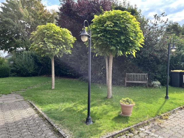Gemeinschaftsgarten