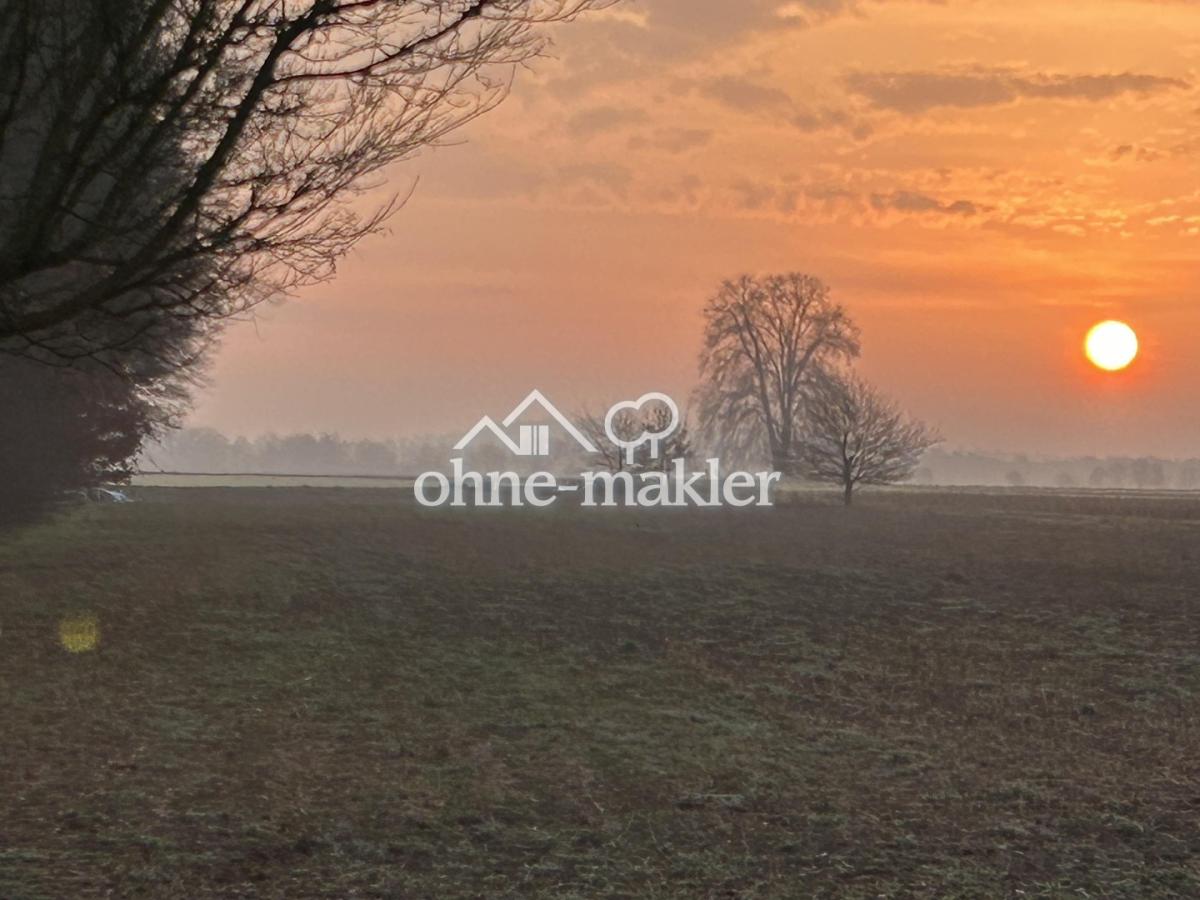 Blick aus Fenster am Morgen