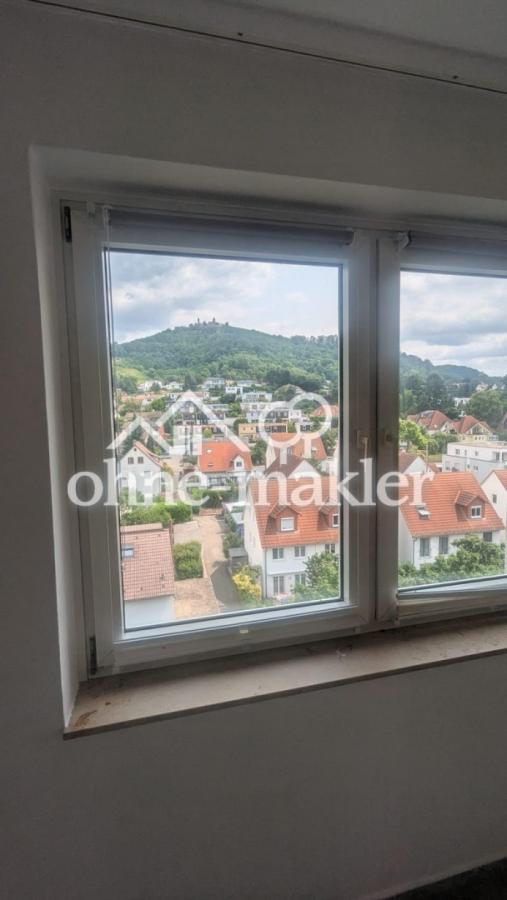 Ausblick auf AuerbacherSchloss