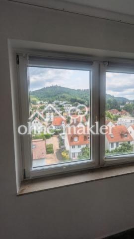 Ausblick auf AuerbacherSchloss