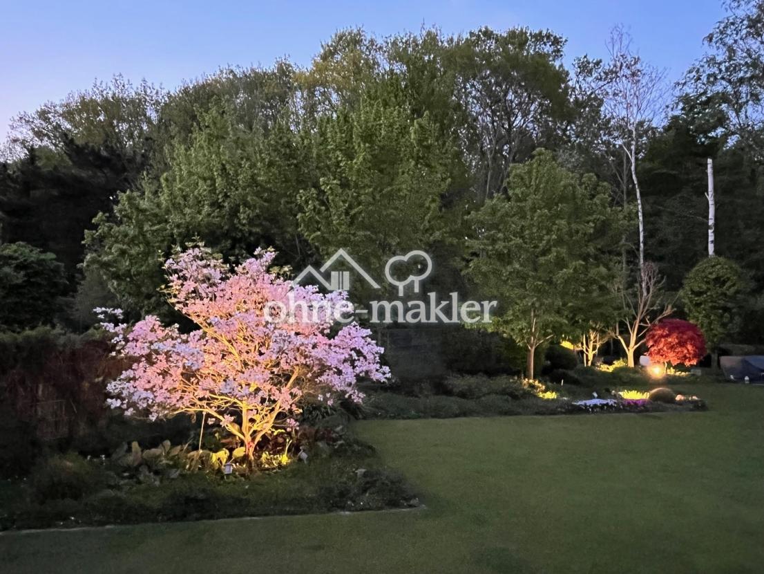 Garten in der Dämmerung