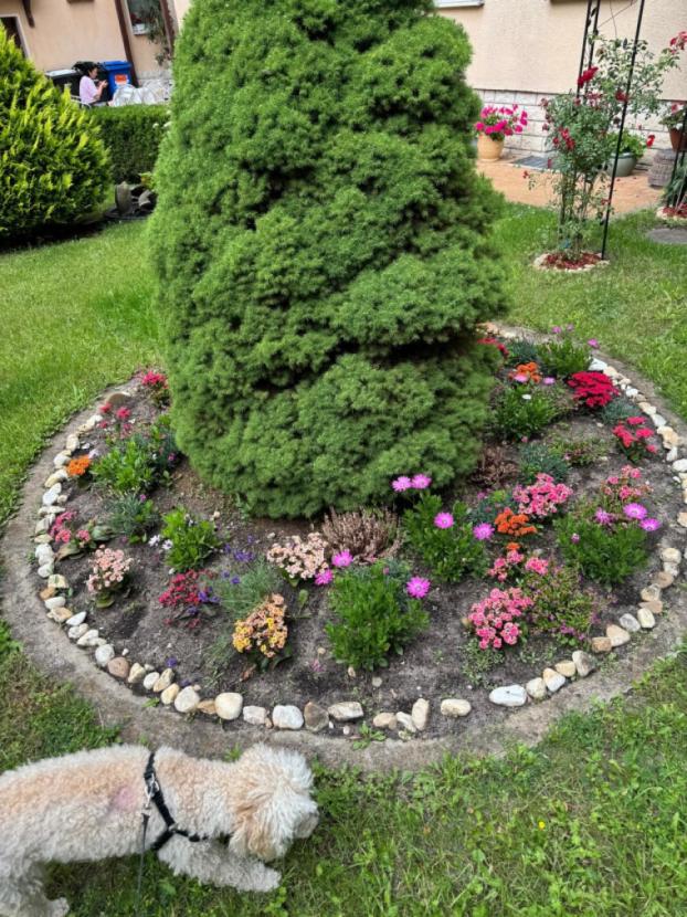 Garten