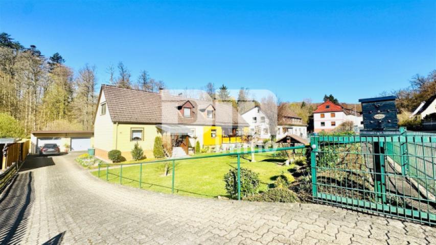 Vorgartenbereich / Zufahrt