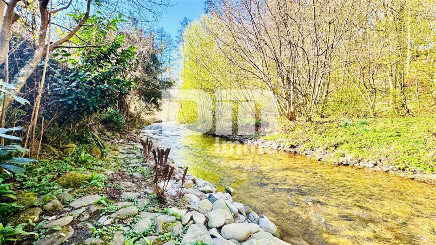 Bachlauf hinter dem Garten