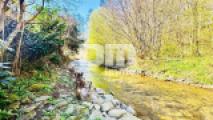 Bachlauf hinter dem Garten