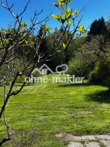 Blick in den Garten