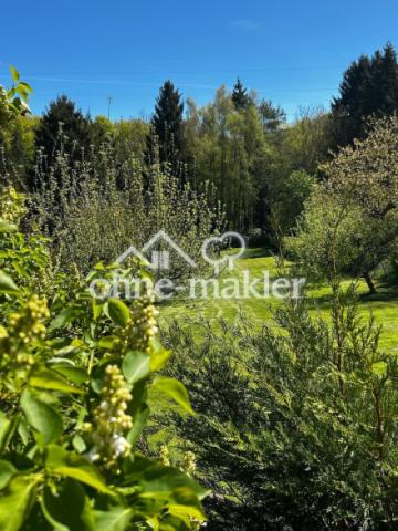 Blick in den Garten
