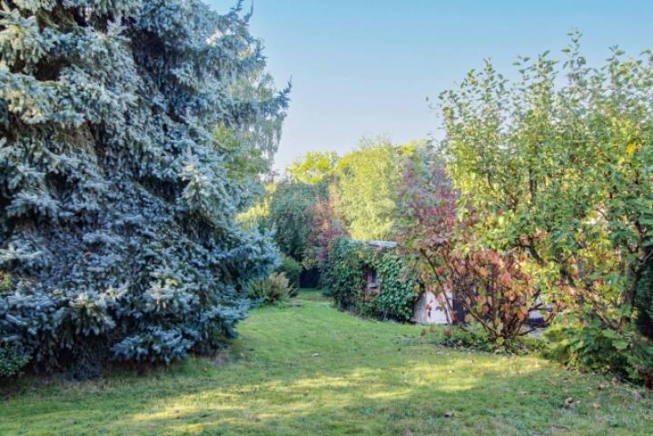 Grundstück (8)