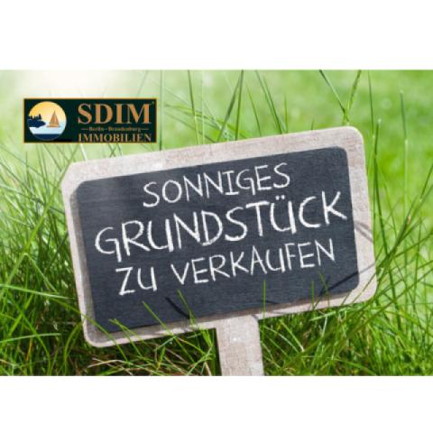 SDIM