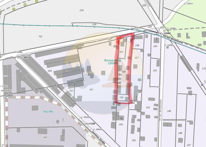IMG_1007
