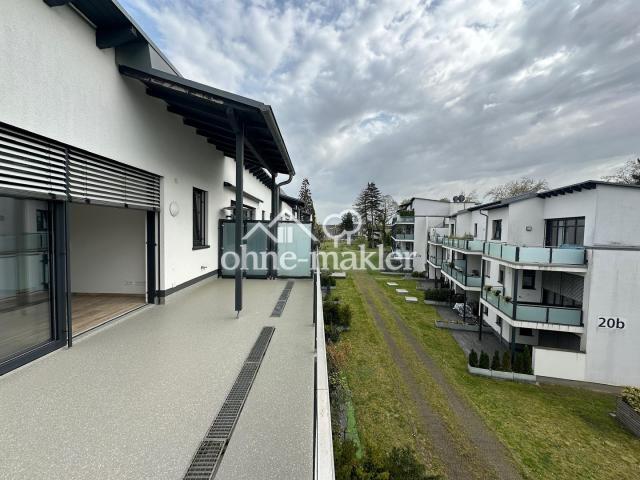 Blick in den Garten