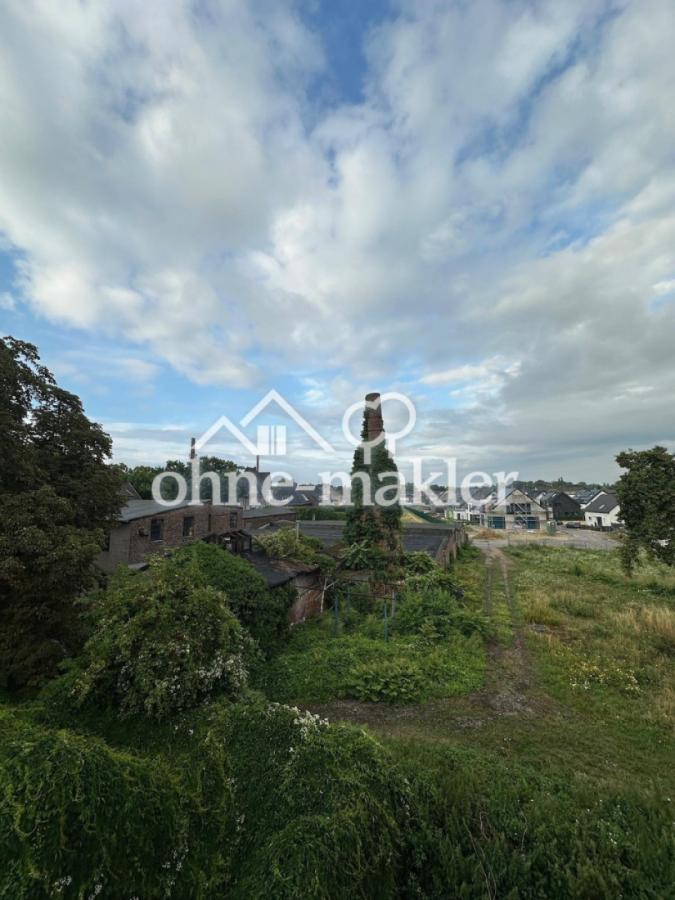Blick ins Grüne