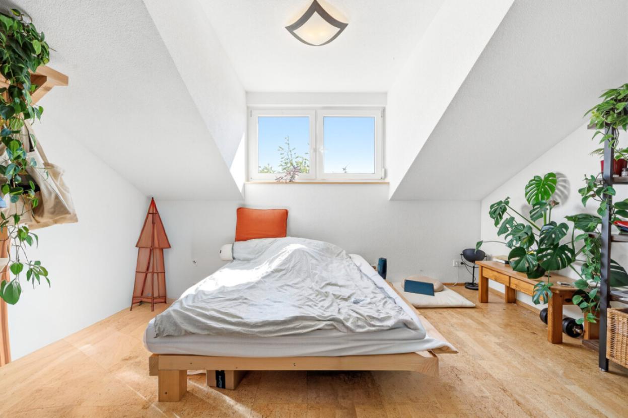 Zimmer DG