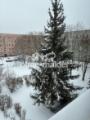 Blick in den winterlichen Hof