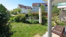 Blick in den Garten 