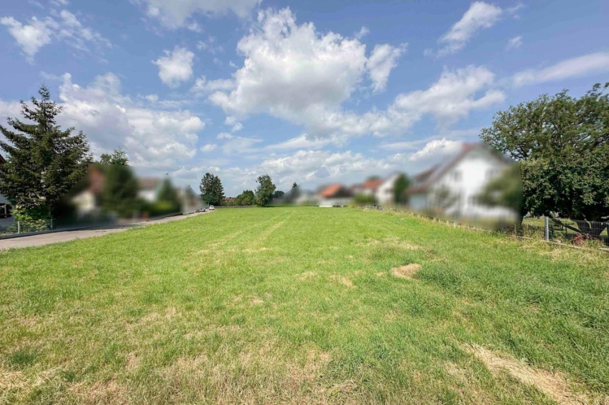 Bodenansicht 8