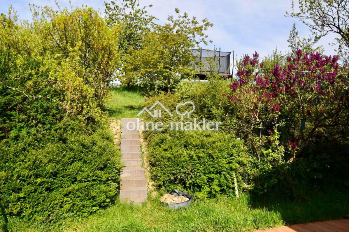 Blick in den Garten