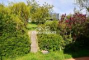 Blick in den Garten