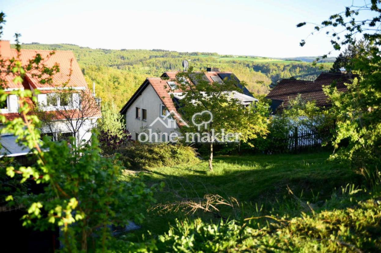 Blick aus dem Garten
