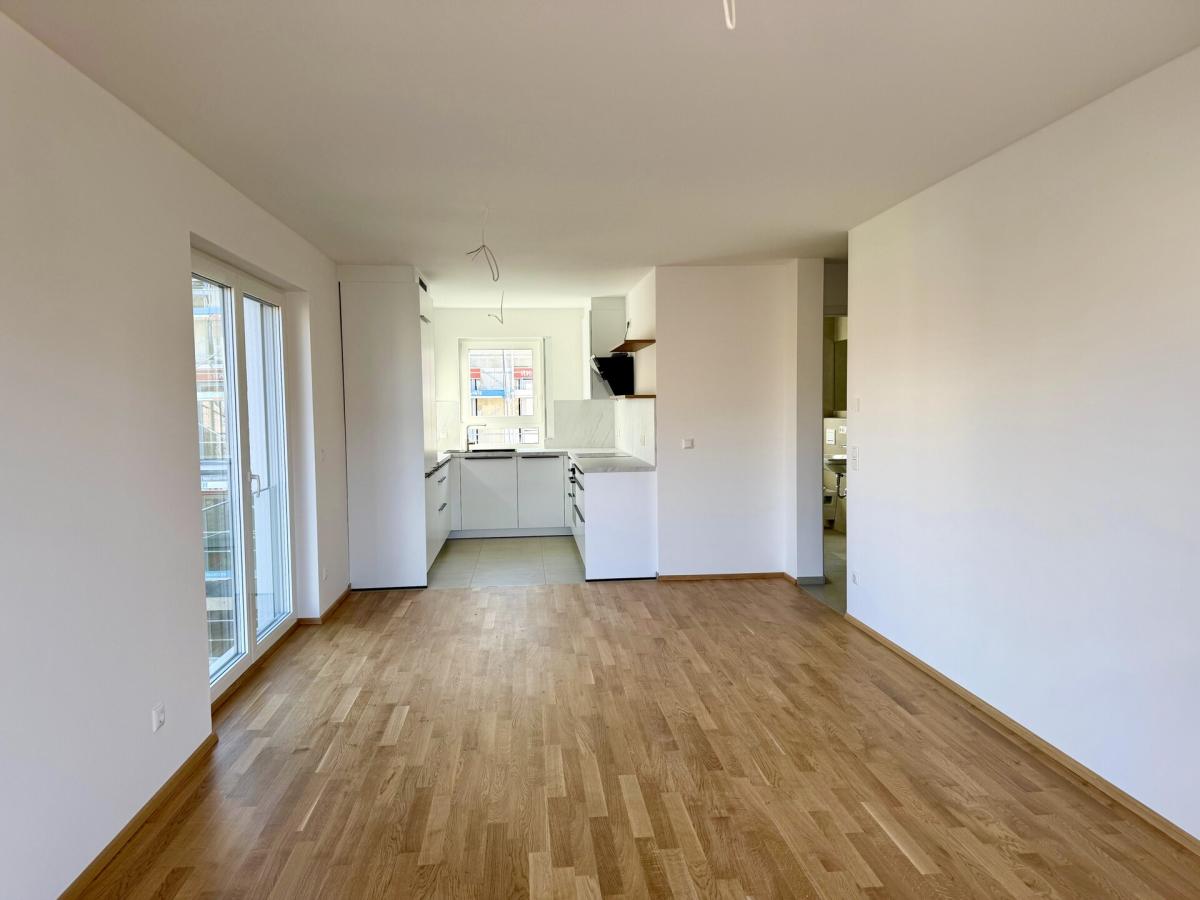 Wohnzimmer / Küche