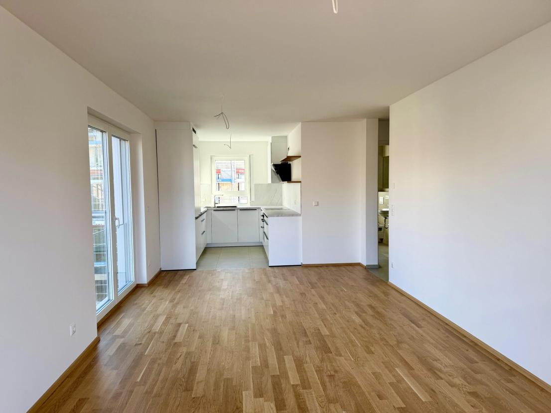 Wohnzimmer / Küche