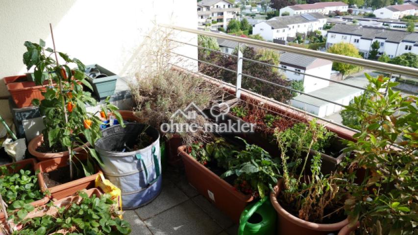 Balkon in voller Blüte