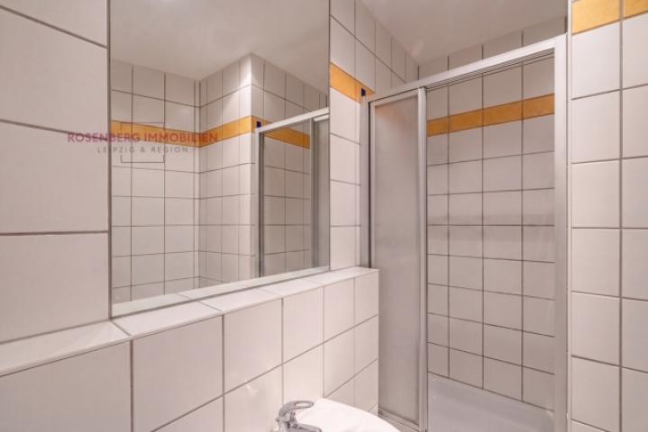 7a2321f4-badezimmer-staging-in-halle-saale-suedliche-innenstadt