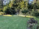 Garten Ostseite