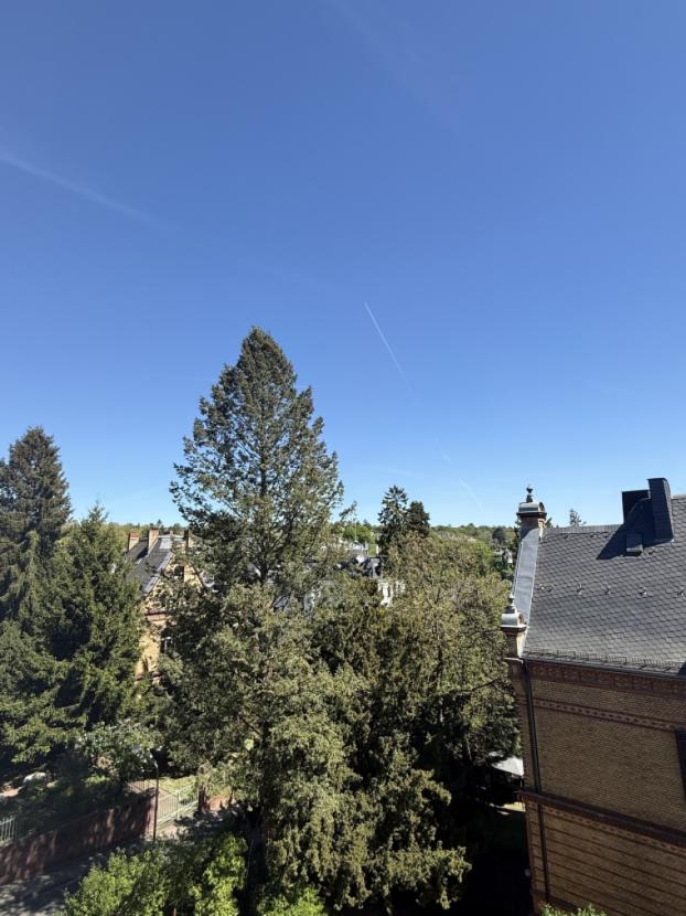 Aussicht 