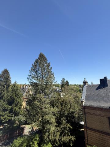 Aussicht 