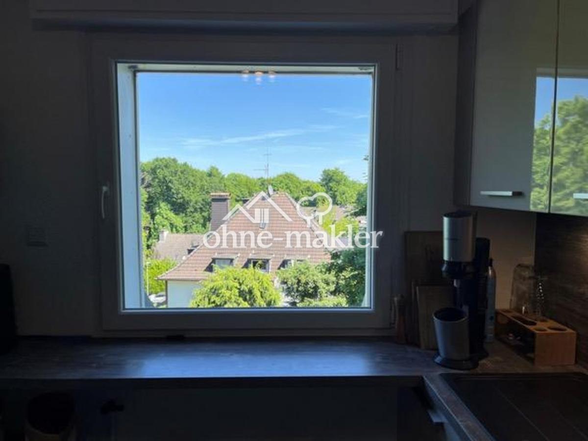 Blick ins Grüne und den Himmel